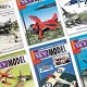 Subscription to 12 issues of Sky Model Italian language for Overseas 